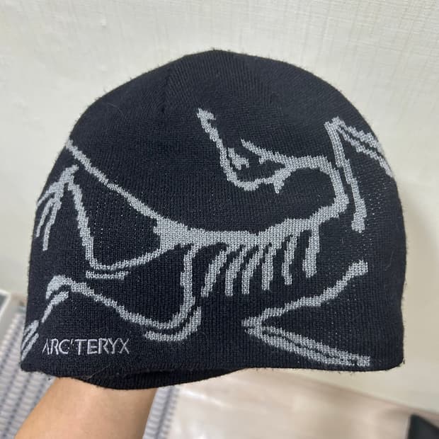 아크테릭스 비니