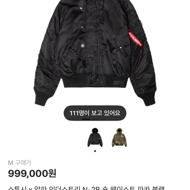 스투시 알파인더스트리 n2b