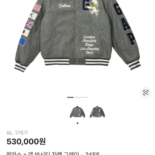 팔라스 갭 자켓