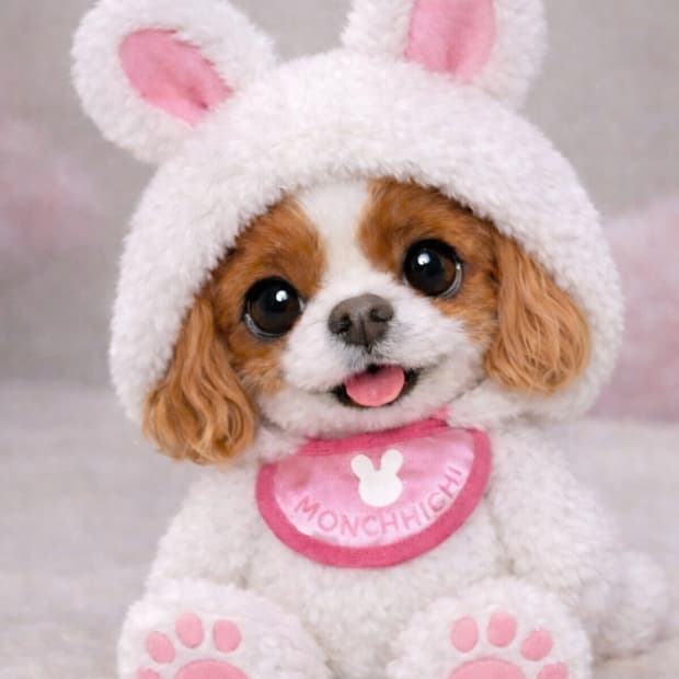 몬치치 개인 결제창:)