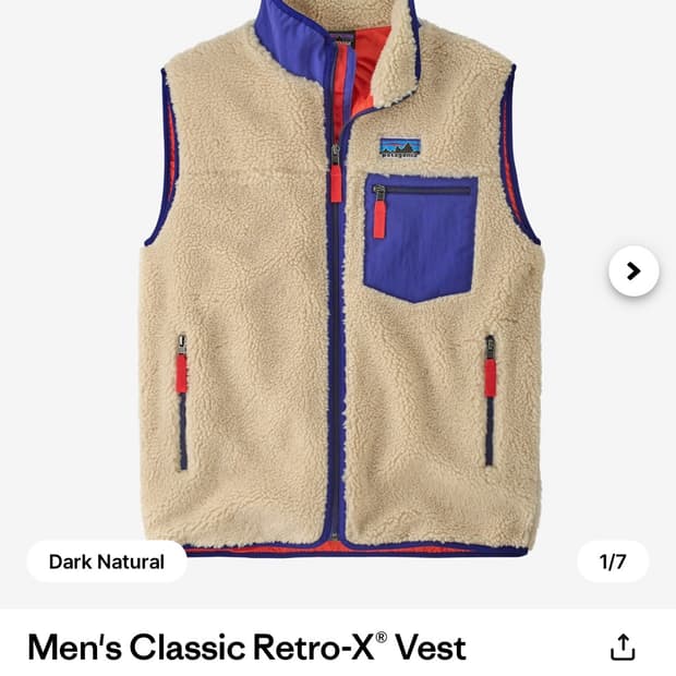 파타고니아 레트로X 베스트