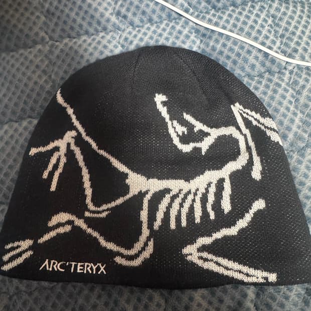 아크테릭스 비니 새상품급 급처 