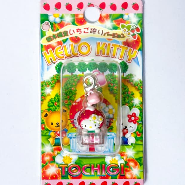 (고전/희귀) 미개봉 고전헬로키티스트랩  도치기 현지 한정 딸기 스트랩