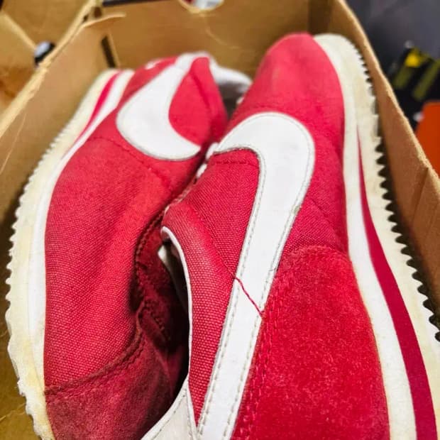 나이키 1996 코르테즈 나일론 255