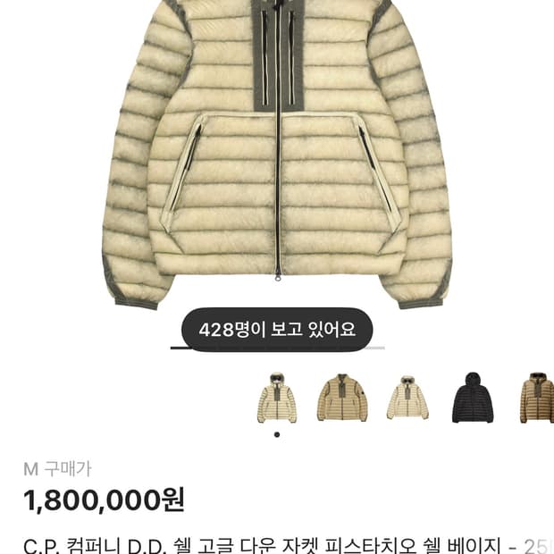 Dd쉘 고글 cp컴퍼니 피스타치오 미개봉 판매