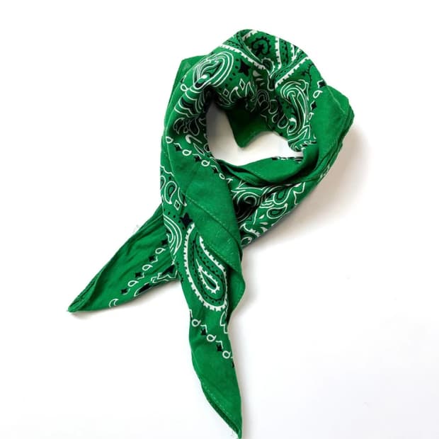 Selected 페이즐리 반다나 A1596