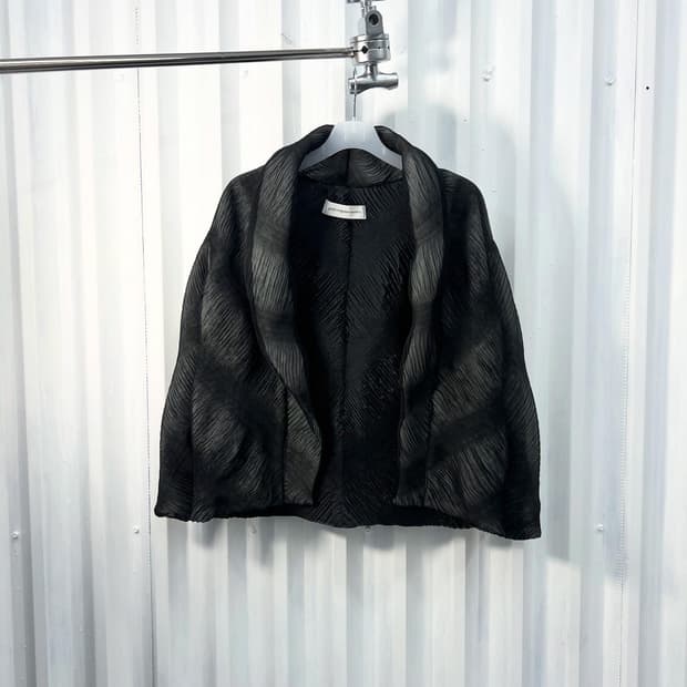 Adolfo Dominguez pleats jacket
