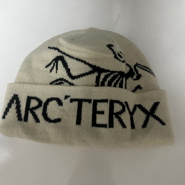 아크테릭스 비니 버드 워드 토르카