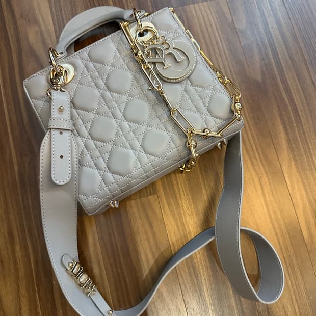 디올 레이디백 미니 사이즈