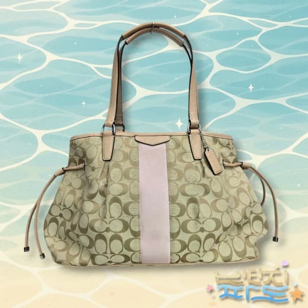 COACH 코치 시그니처 자가드 숄더백