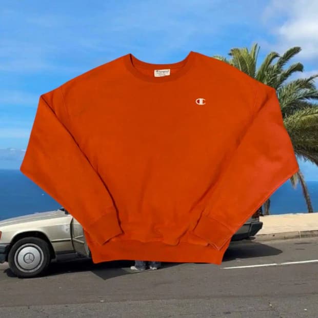 챔피온 리버스위브 맨투맨 (Woman L) AA0071