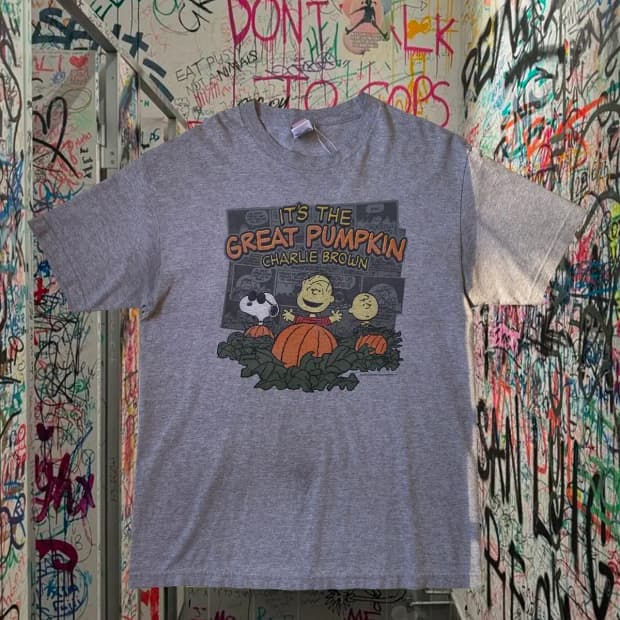 피너츠 스누피 반팔 티셔츠 (Man XL) / [AB1474]