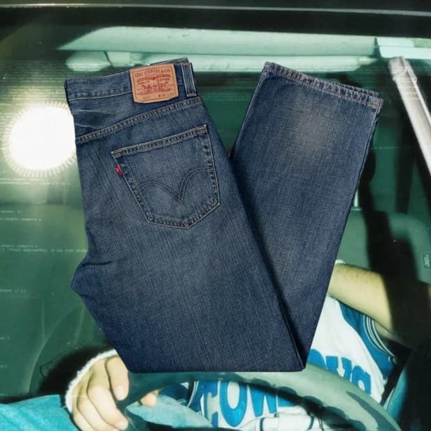 리바이스 550 (36) / [AB1829]