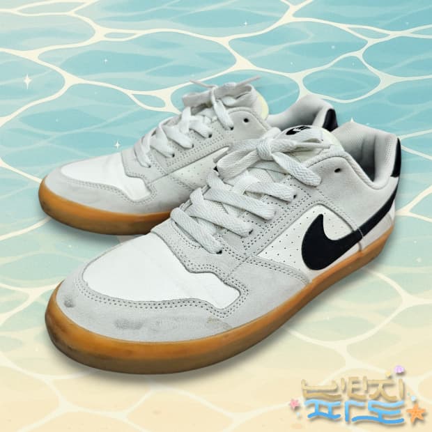 260 NIKE 나이키 SB 델타 포스 벌크