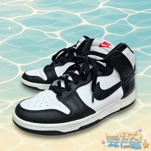 275 NIKE 나이키 조던 덩크 하이 범고래