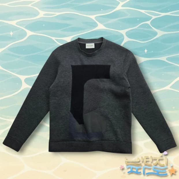 100 솔리드옴므 그래픽 맨투맨