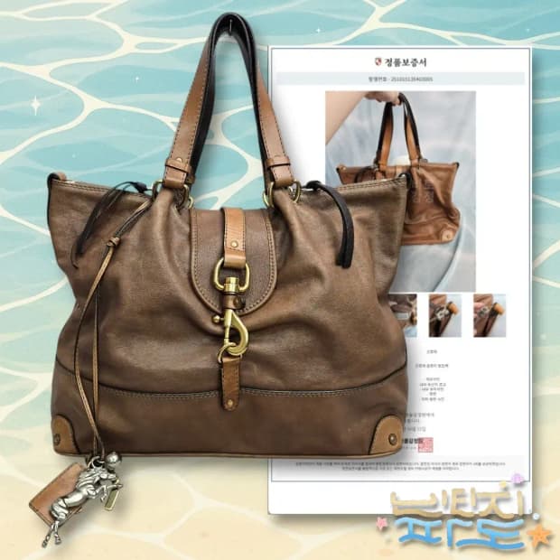 감정서O Chloe 끌로에 Kerala 토트백