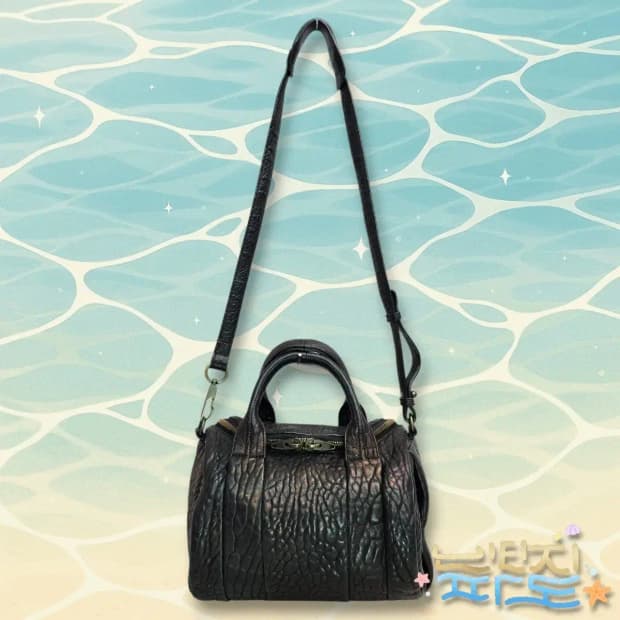 알렉산더왕 로키 크로스백