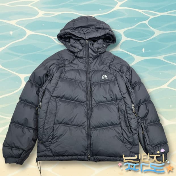 100 00S NIKE 나이키 ACG 650필 패딩