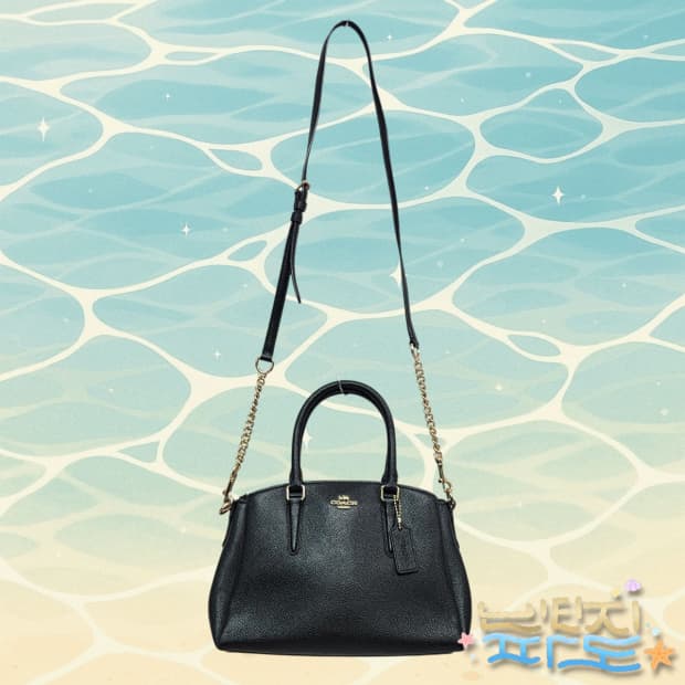 코치 미니 캐리올 숄더백 토트백