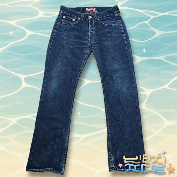 32 LEVIS 리바이스 아이코닉 타입 1 스트레이트 데님팬츠