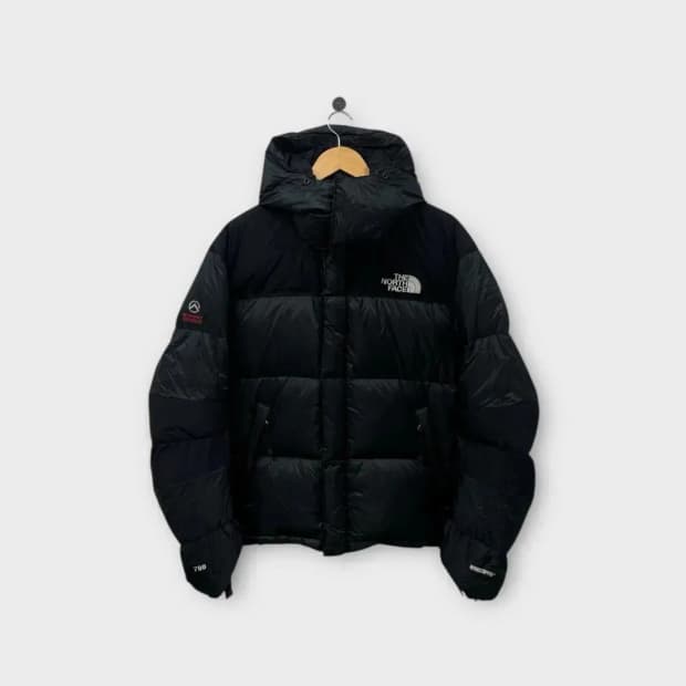 노스페이스 윈드스토퍼 구스다운 95