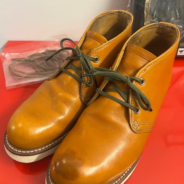 레드윙 아이리쉬세터 처카 9853 7 1/2 (260)