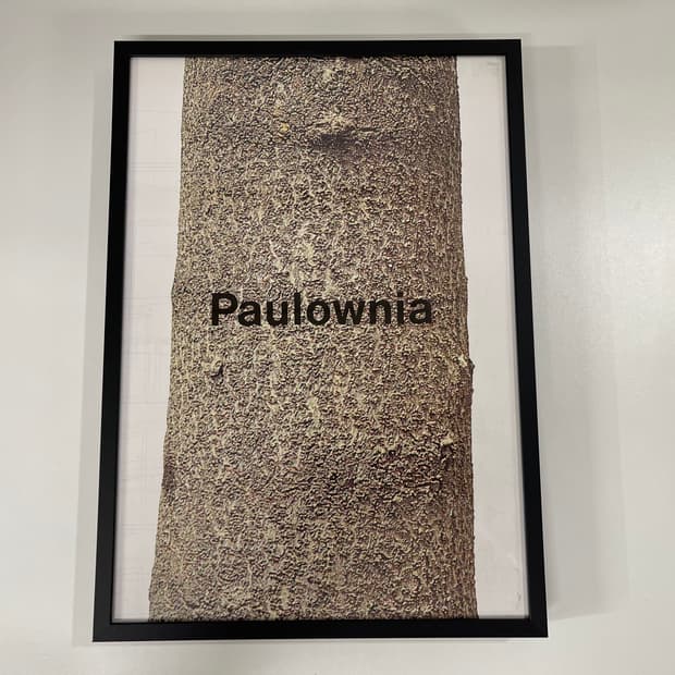 꼼데가르송 COMME des GARCONS 아트 포토 AD1993