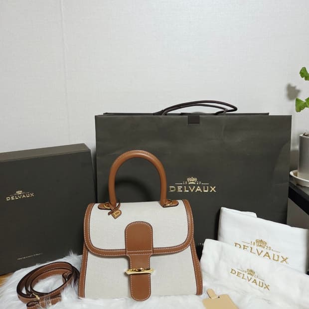 델보(Delvaux) 아이코닉 라인인 브리앙(Brillant) 캔버스