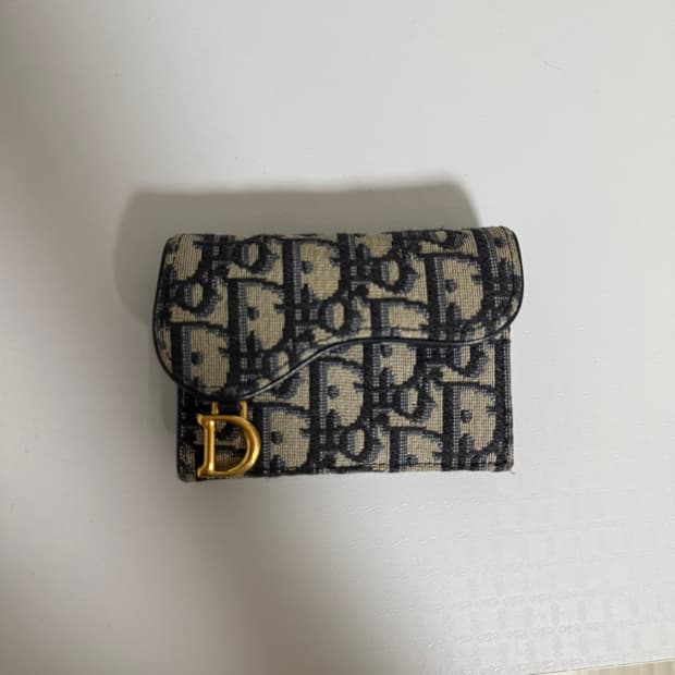 디올 오블리크 새들 카드지갑