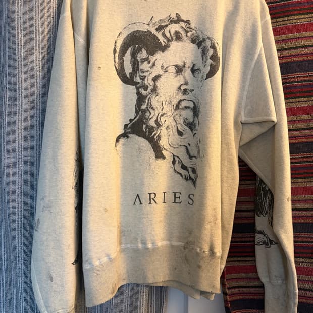 세인트미카엘 아리스 aries