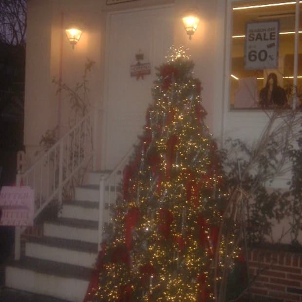 소프트한 파인픽스 700