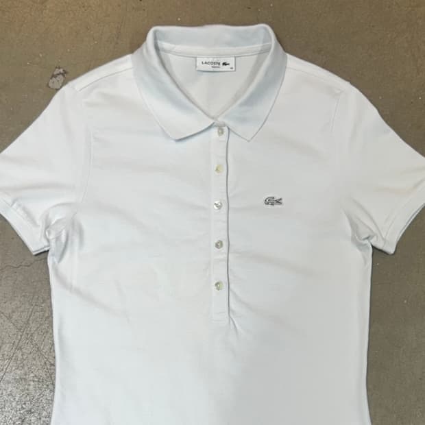 38 라코스테 화이트 카라 반팔티