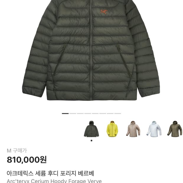 아크테릭스 세륨 후디 포리지 베르베 M