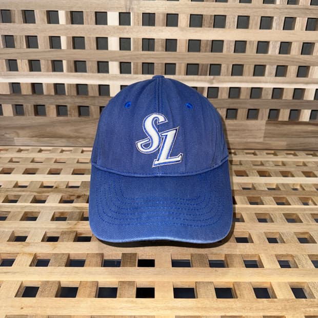 삼성 라이온즈 캡