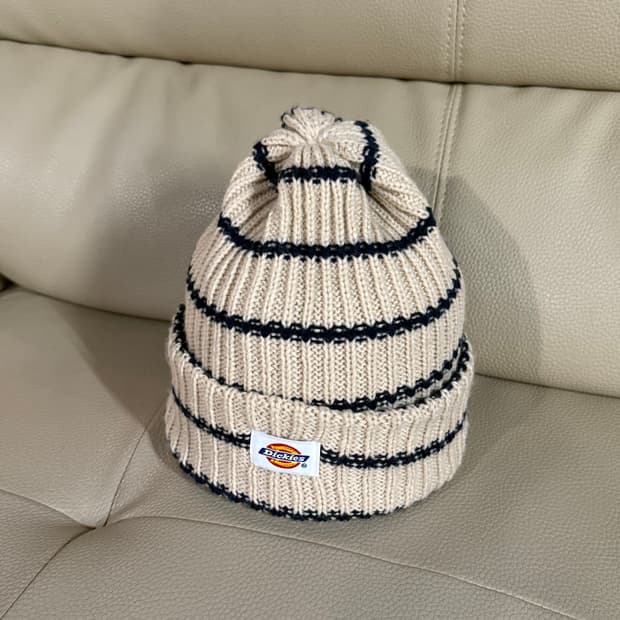 Dickies stripe pattern knit beanie