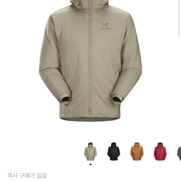 아크테릭스 아톰at 후디 디스토션 L 팝니다