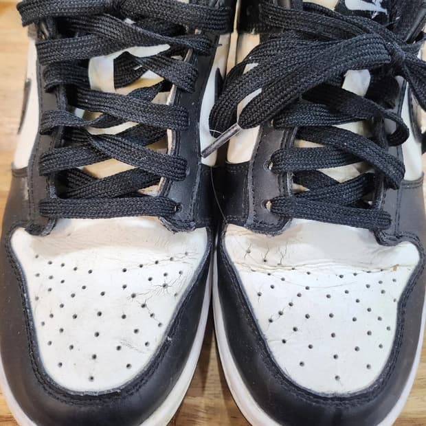 나이키 덩크로우 범고래 255