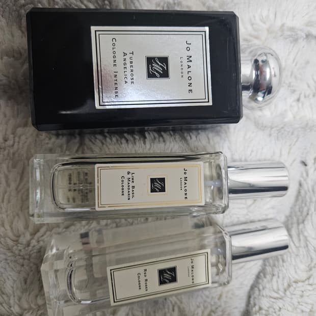 조말론  튜버로즈 안젤리카 코롱 인텐 100ml 등