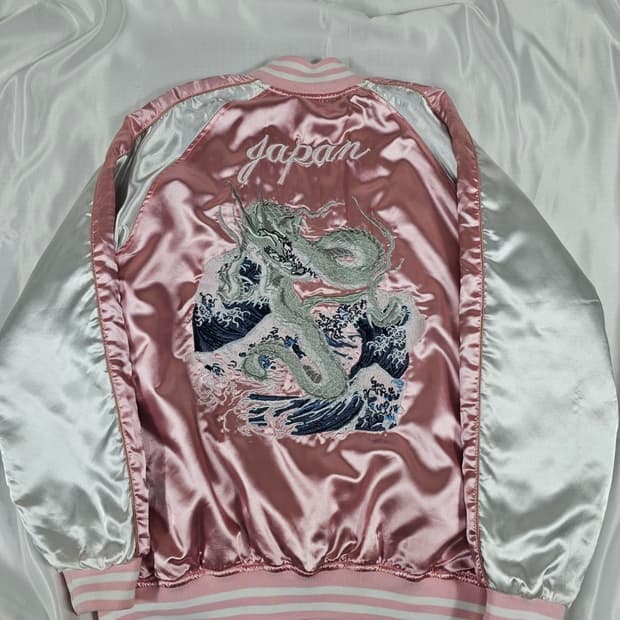 일심여경드레곤스카쟌