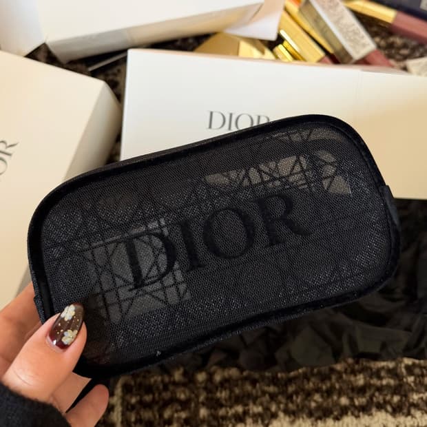 디올 메쉬 블랙 파우치