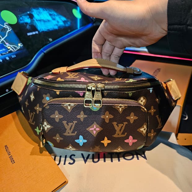 루이비통 타일러x퍼렐 강아지 초콜릿 러쉬 범백 토트백