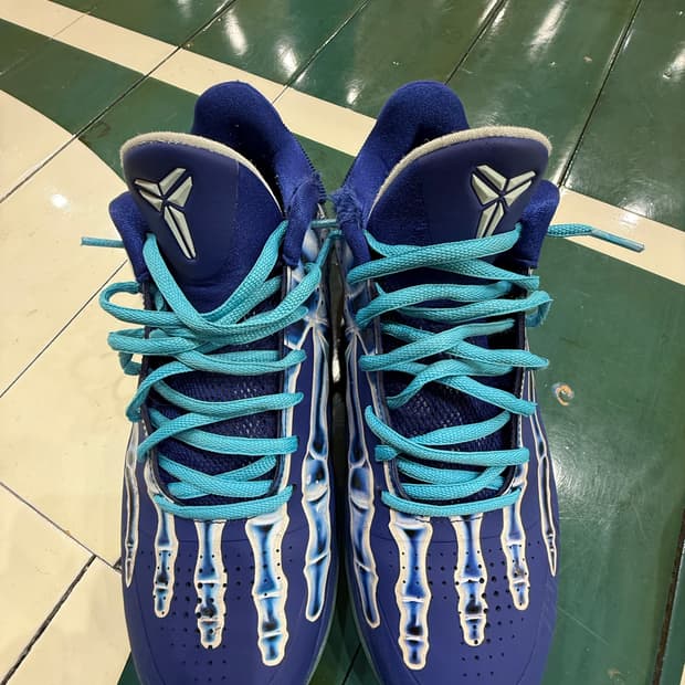 코비 5 엑스레이 