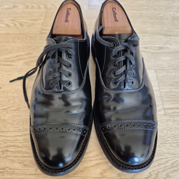 샌더스 밀리터리 옥스포드 캡토 UK7