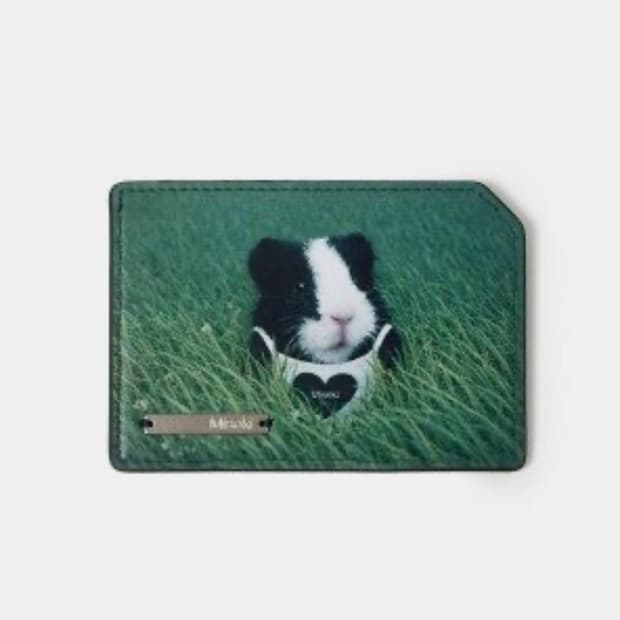 미세키서울 레이 기니피그 카드지갑 미개봉 새상품