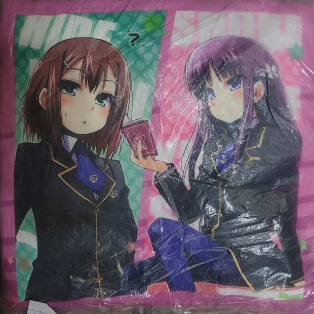 Baka and Test Summon the Beasts Cushion 