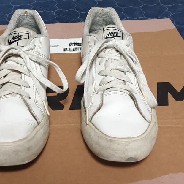 나이키 코트로얄 로우 화이트 (255)