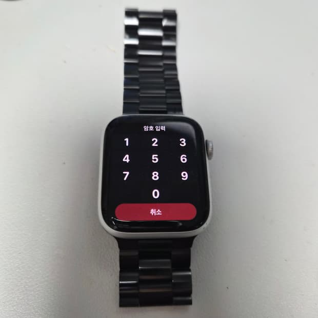 애플워치 se