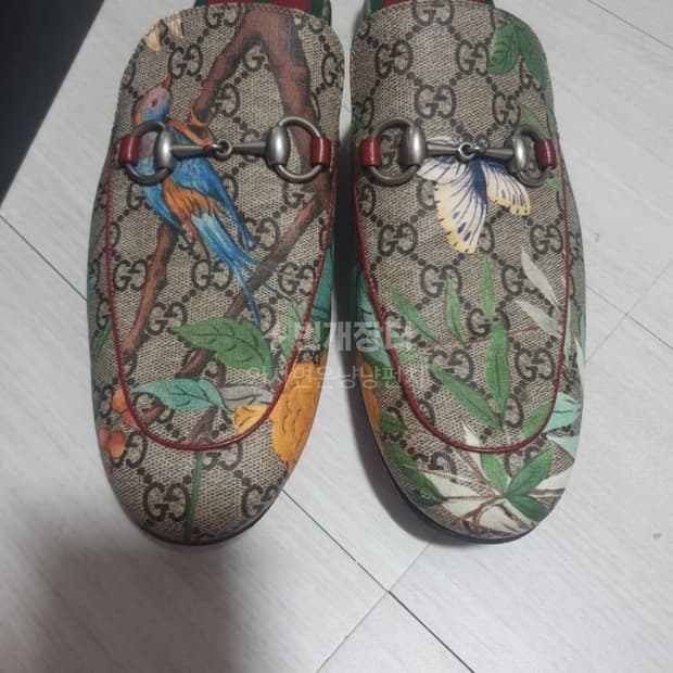 구찌 티엔 뮬 블로퍼 8사이즈