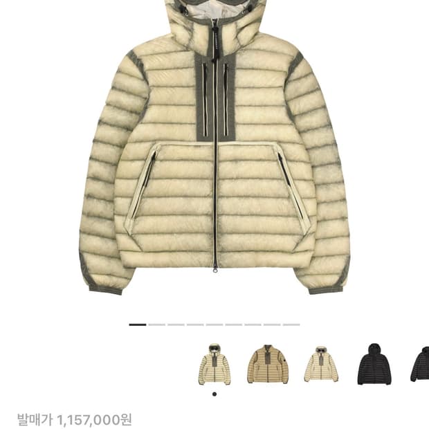 (교환) CP 컴퍼니 DD쉘 고글 다운 자켓 피스타치오 쉘 베이지 L